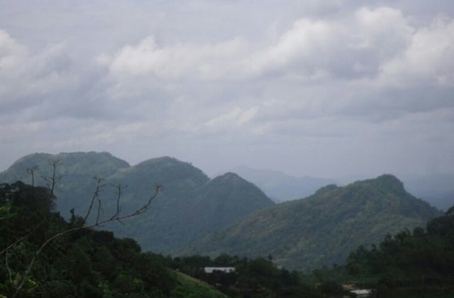 Yatawatta Nature